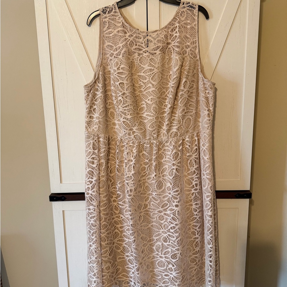 Sandra Darren Lace Midi Dress - Cream